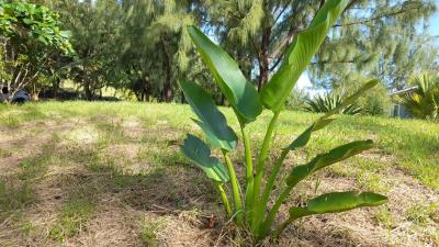atlantic-park-lot-58-st-joseph-plant