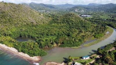 roseau-valley-aerial