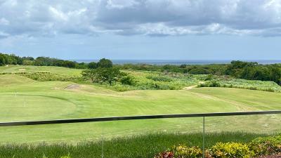 Royal-Westmoreland-SCM-3-terrace-view
