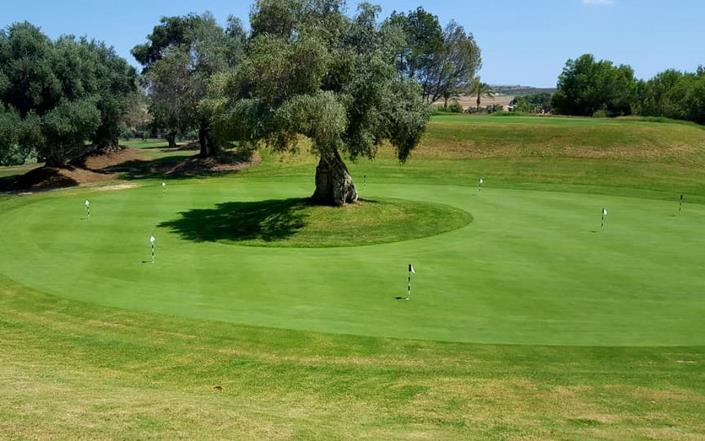 Image No.17-3 Bed Villa for sale