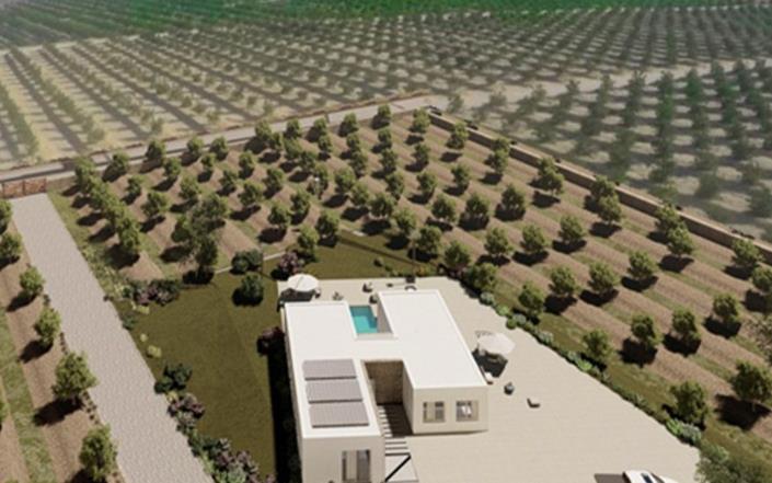 Image No.2-Propriété de pays de 4 chambres à vendre à Algorfa