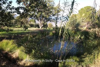 Villa-isabelle-permaculture-estate-sicily-sea-view-buy-property-4
