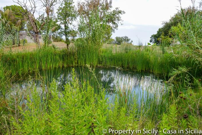 Image No.29-Maison de campagne de 2 chambres à vendre à Gratteri