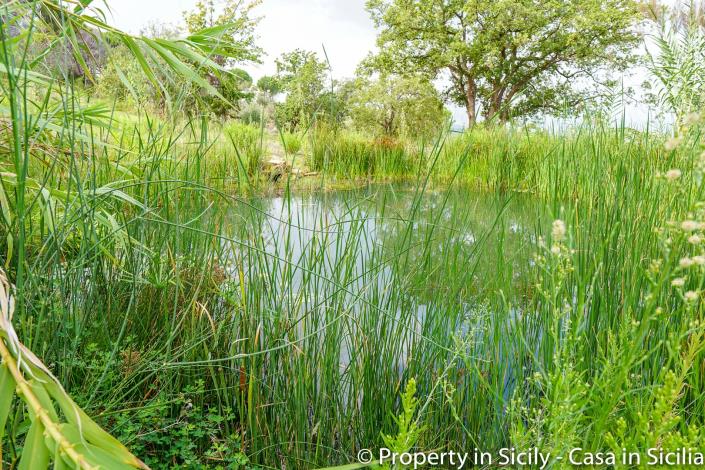 Image No.30-Maison de campagne de 2 chambres à vendre à Gratteri