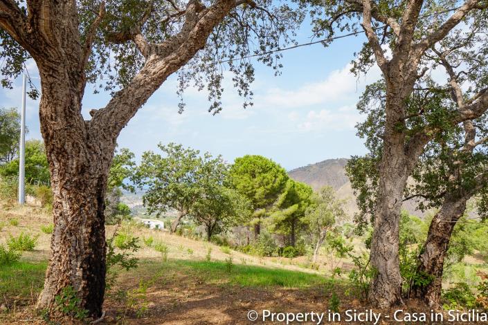 Image No.32-Maison de campagne de 2 chambres à vendre à Gratteri