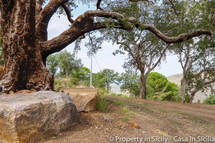 Image No.35-Maison de campagne de 2 chambres à vendre à Gratteri