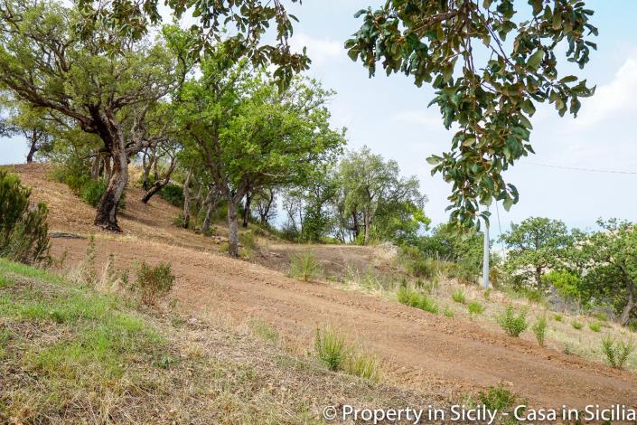 Image No.36-Maison de campagne de 2 chambres à vendre à Gratteri
