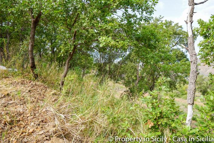 Image No.40-Maison de campagne de 2 chambres à vendre à Gratteri