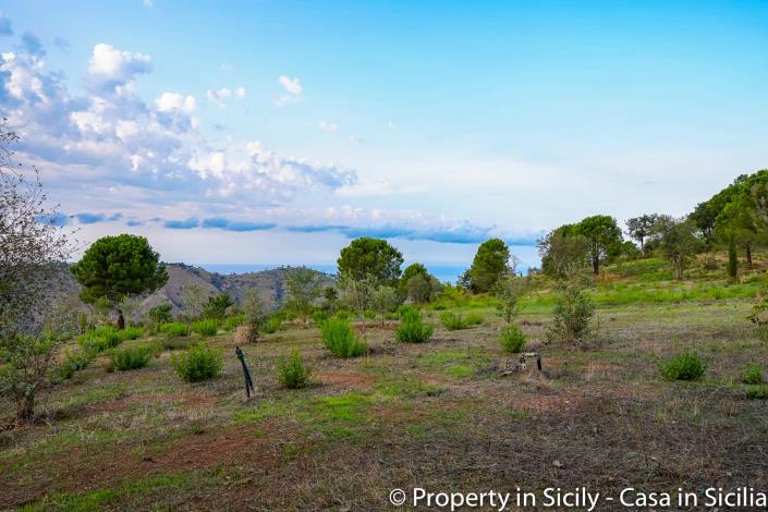 Image No.8-Maison de campagne de 2 chambres à vendre à Gratteri