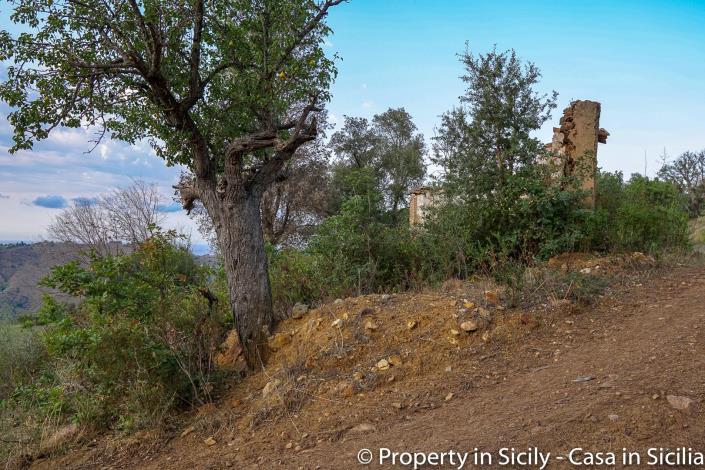 Image No.10-Maison de campagne de 2 chambres à vendre à Gratteri