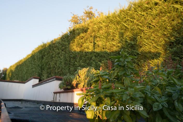 Image No.30-Villa de 3 chambres à vendre à Sant'Agata di Militello