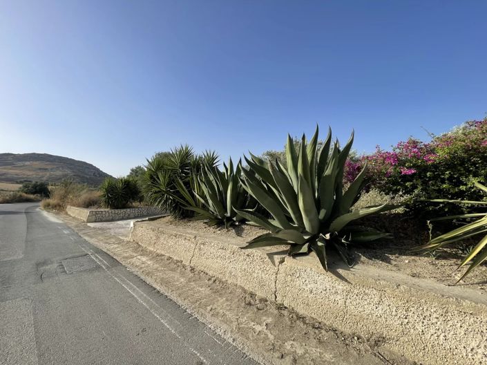 Image No.3-4 Bed House for sale