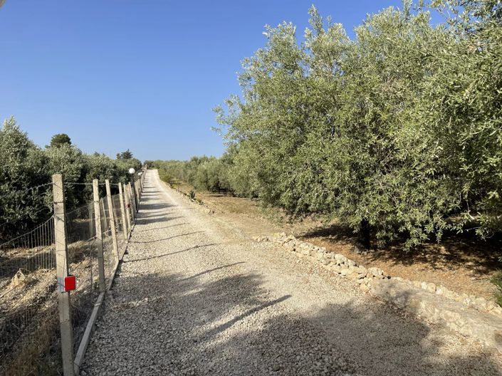 Image No.5-4 Bed House for sale