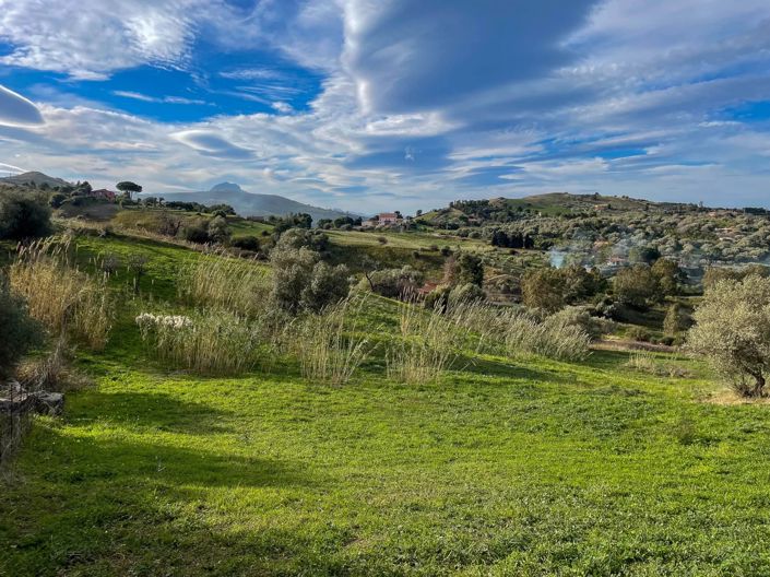 Image No.3-Land for sale