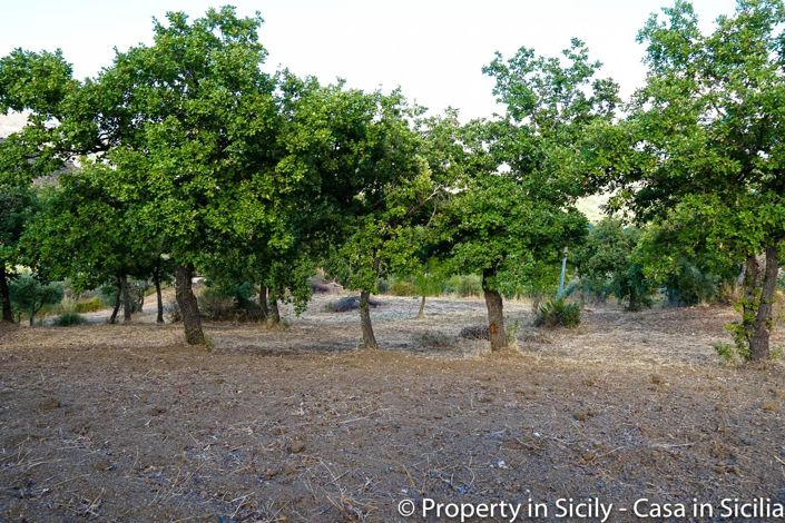 Image No.10-Terre à vendre à Castelbuono