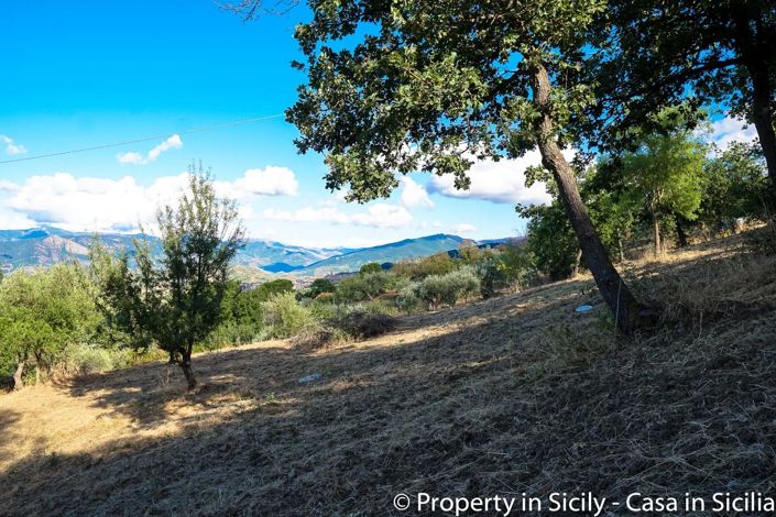 Image No.11-Terre à vendre à Castelbuono