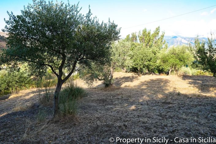 Image No.13-Terre à vendre à Castelbuono