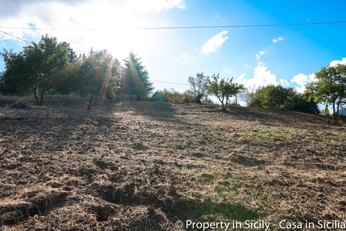 Image No.15-Terre à vendre à Castelbuono