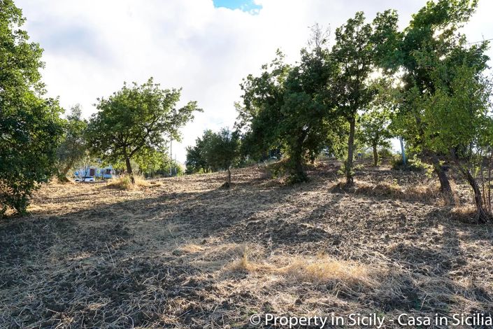 Image No.16-Terre à vendre à Castelbuono
