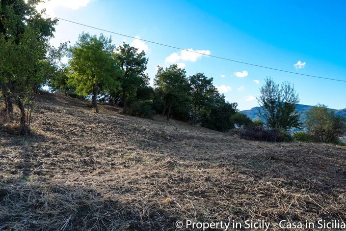Image No.17-Terre à vendre à Castelbuono