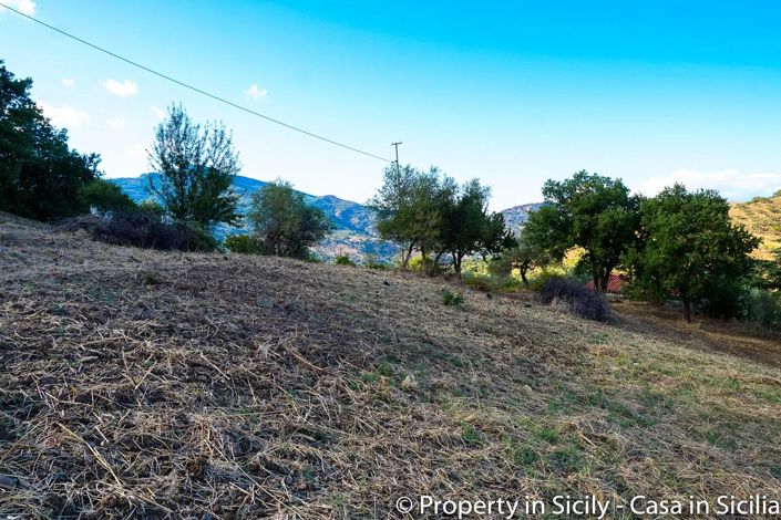 Image No.18-Terre à vendre à Castelbuono