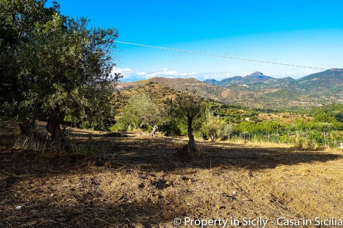 Image No.19-Terre à vendre à Castelbuono