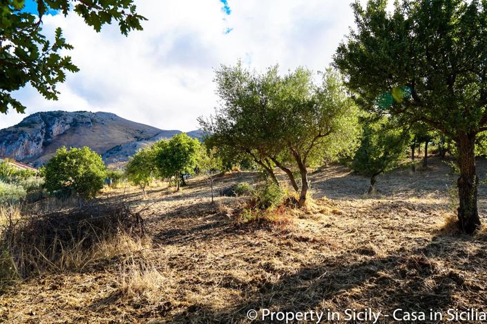 Image No.2-Terre à vendre à Castelbuono