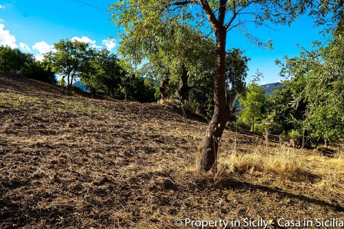 Image No.21-Terre à vendre à Castelbuono