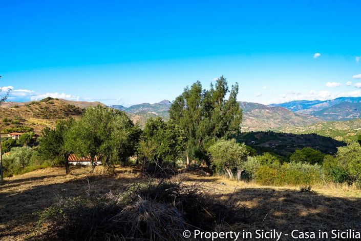 Image No.4-Terre à vendre à Castelbuono