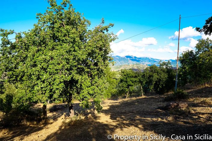 Image No.5-Terre à vendre à Castelbuono