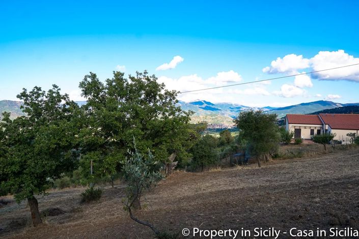 Image No.9-Terre à vendre à Castelbuono