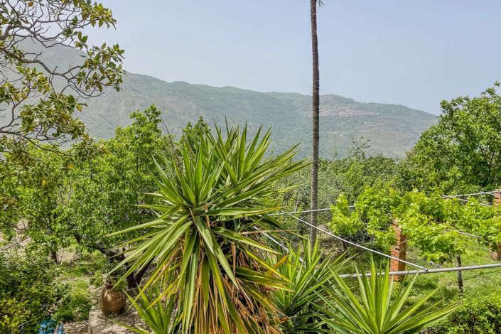 Image No.30-Maison à vendre à Messine