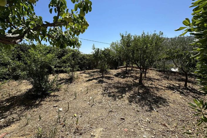 Image No.29-Appartement de 3 chambres à vendre à Casteldaccia