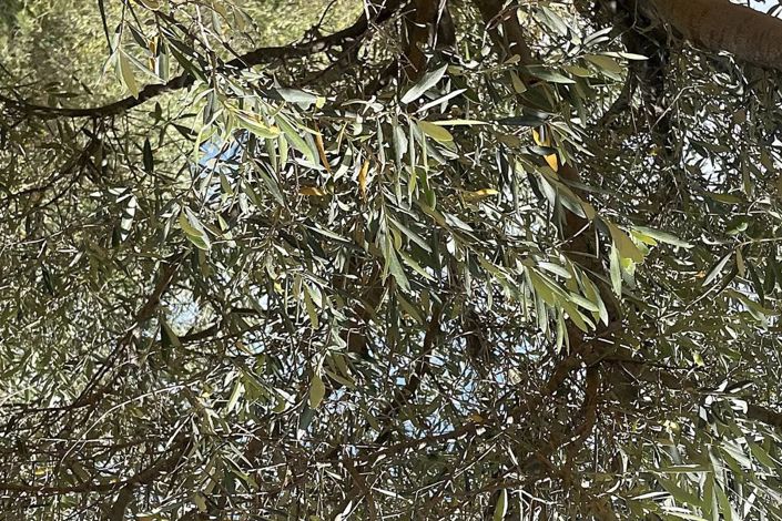 Image No.6-Land for sale