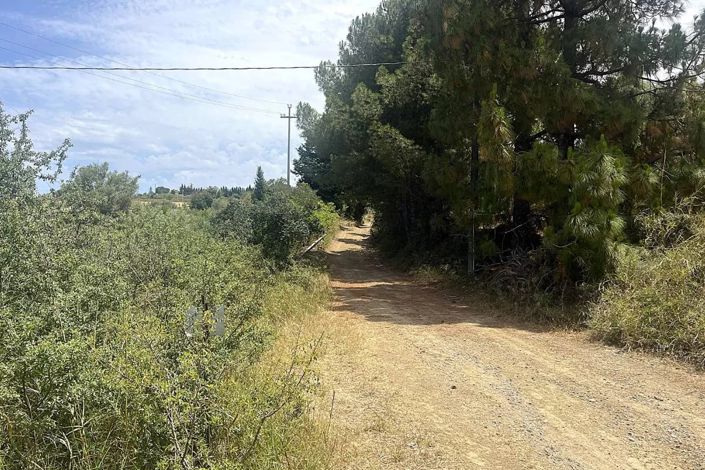 Image No.7-Land for sale