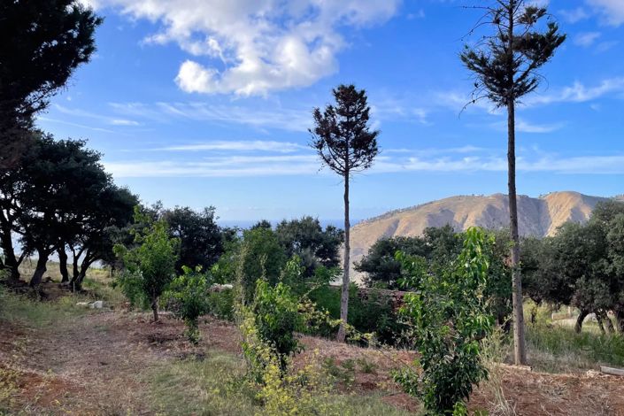 Image No.12-Terre à vendre à Lascari