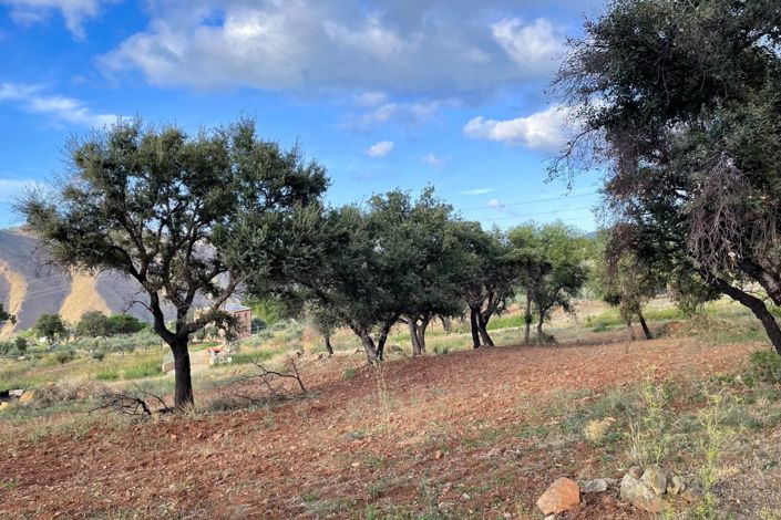 Image No.13-Terre à vendre à Lascari