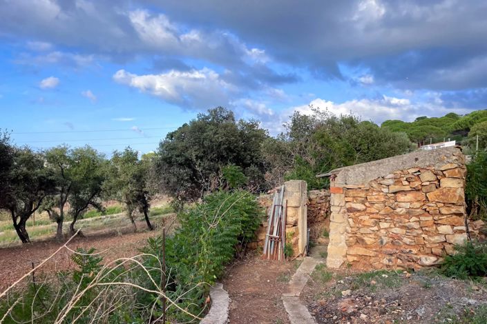 Image No.3-Terre à vendre à Lascari