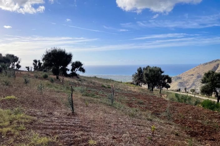 Image No.4-Terre à vendre à Lascari