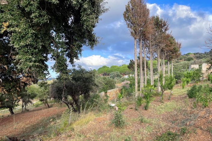 Image No.5-Terre à vendre à Lascari