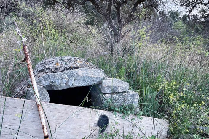 Image No.7-Terre à vendre à Lascari