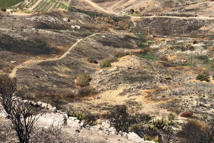 Image No.5-Land for sale