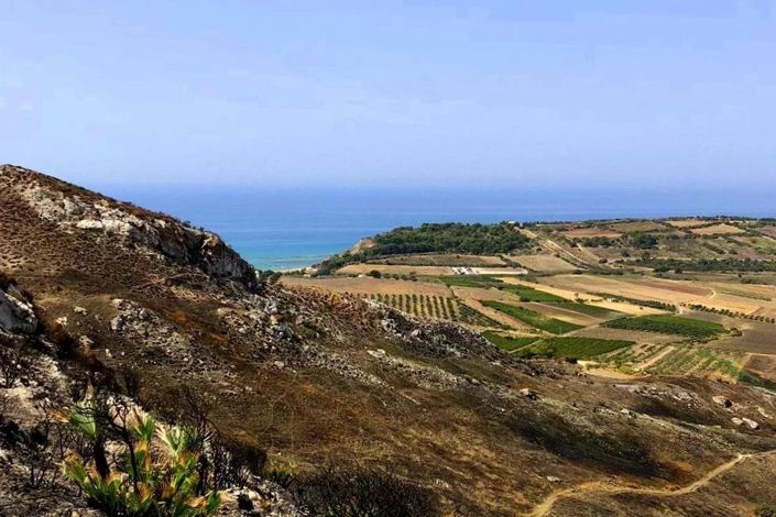 Image No.7-Land for sale