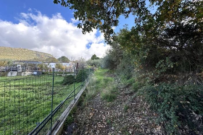 Image No.11-Land for sale