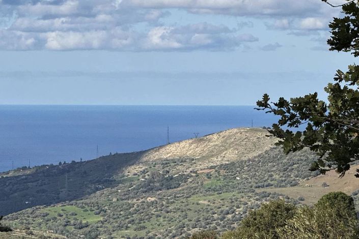 Image No.2-Land for sale