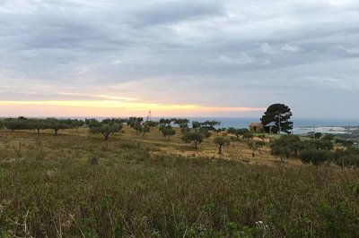 1 - Siculiana, Land