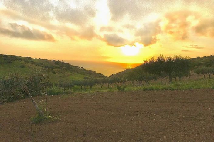 Image No.2-Land for sale