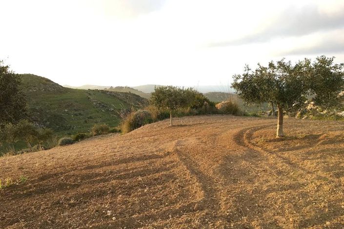 Image No.8-Land for sale