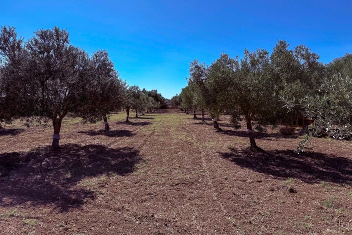 Image No.30-1 Bed House for sale