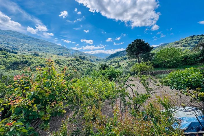 Image No.6-Maison de 3 chambres à vendre à Mistretta